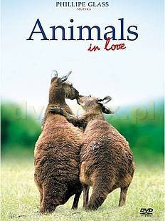 Animals in Love (Eco Collection) [DVD]