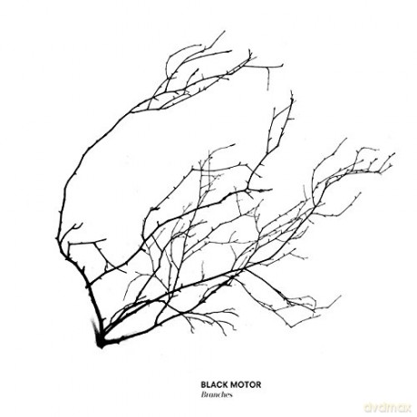 Black Motor: Branches [Winyl]