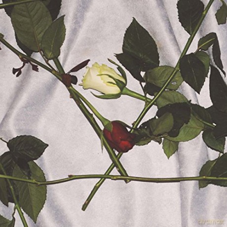 Chain Of Flowers: Chain Of Flowers [Winyl]
