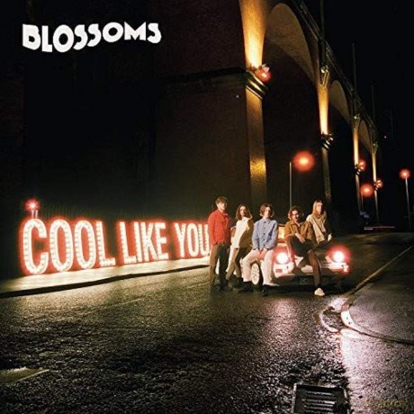 Blossoms: Cool Like You [Winyl]