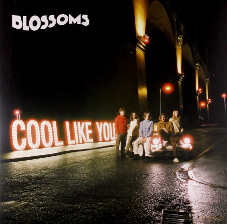 Blossoms: Cool Like You [Winyl]
