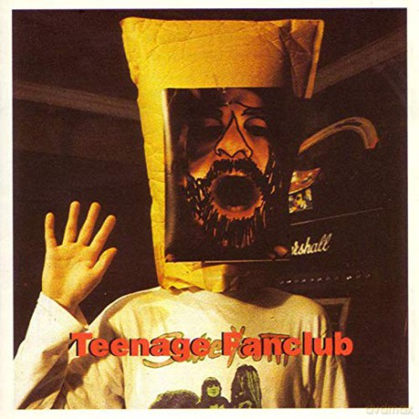 Teenage Fanclub: Deep Fried Fanclub [Winyl]