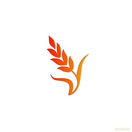 Boothroyd: Pure Country [Winyl]