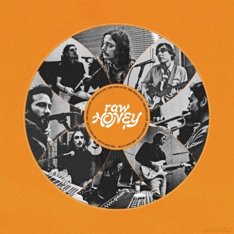 Raw Honey: Drugdealer [CD]