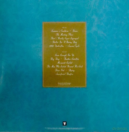 Xtc: Skylarking [Winyl]