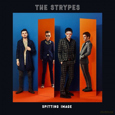 Strypes: Spitting Image [Winyl]