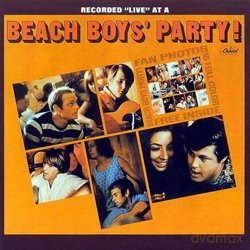 Beach Boys: The Beach Boys' Party! [Winyl]