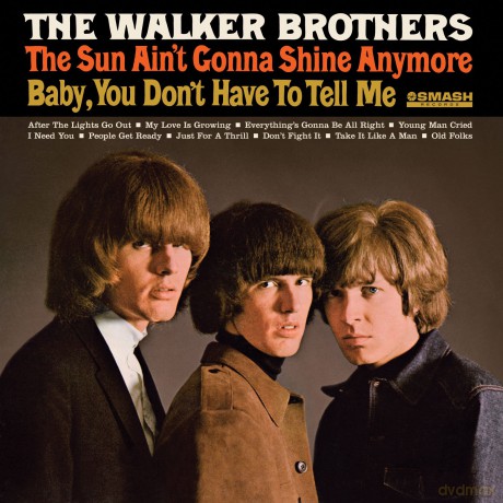 Walker Brothers: The Sun Ain't Gonna Shine Anymore (Including The #1 Chart Hit Of The Same Name) [Winyl]