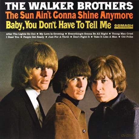 Walker Brothers: The Sun Ain't Gonna Shine Anymore (Including The #1 Chart Hit Of The Same Name) [Winyl]