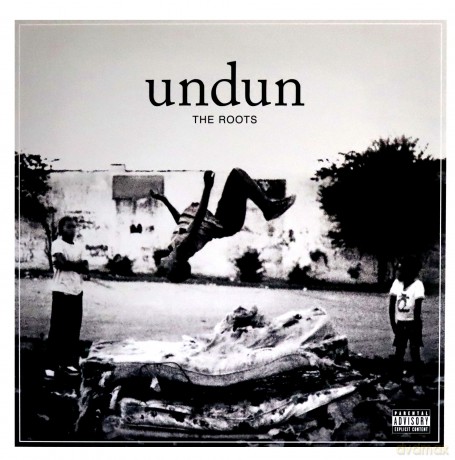 Roots: Undun [Winyl]