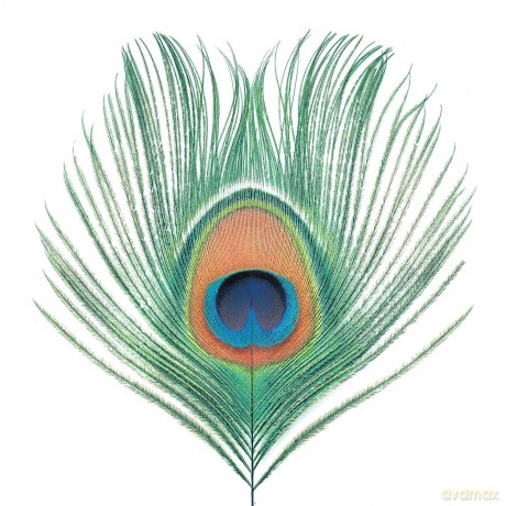 Xtc: Wasp Star (Apple Venus vol 1) [Winyl]