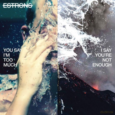 Estrons: You Say I'm Too Much I Say You'Re Not Enough [Winyl]
