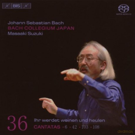 Bach Collegium Japansuzuki: Js Bach Cantatas vol. 36 [SACD]