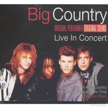Big Country: In A Big Country-In Concert [CD]