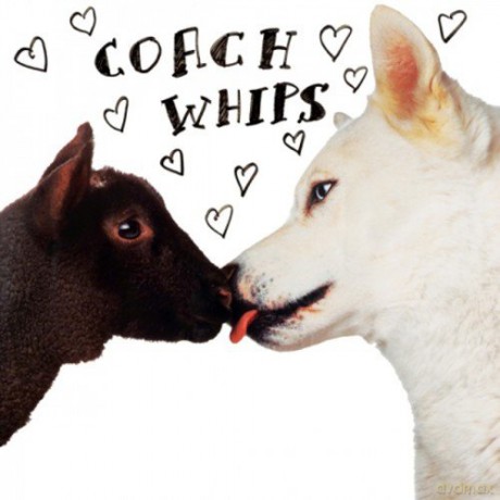 Coachwhips: Bangers Vs Fuckers [CD]