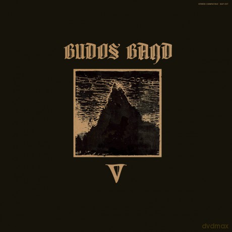 Budos Band:  V Daptone Records [Winyl]