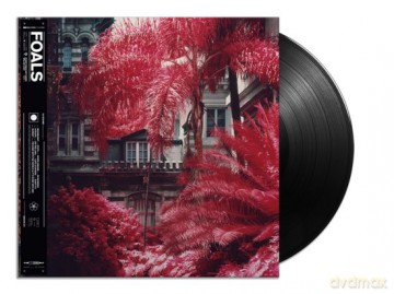 Foals: Everything Not Saved Will Be Lost Part 1 (Deluxe) [2xWinyl]