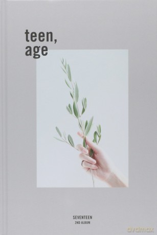 Seventeen: vol. 2 (Teen Age) [CD]
