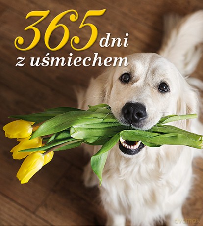365 dni z uśmiechem [KSIĄŻKA]