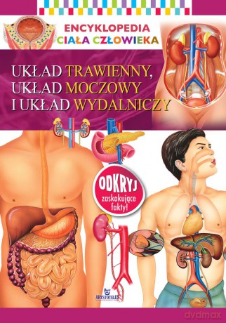 Części ciała. Encyklopedia ciała człowieka [KSIĄŻKA]