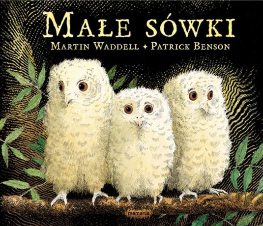 Małe sówki - Martin Waddell [KSIĄŻKA]