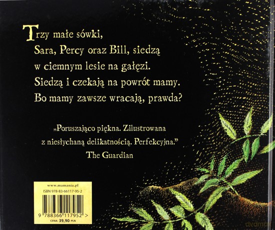 Małe sówki - Martin Waddell [KSIĄŻKA]