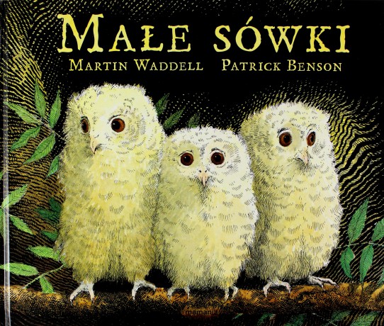 Małe sówki - Martin Waddell [KSIĄŻKA]
