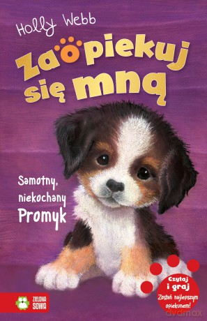 Samotny niekochany Promyk. Zaopiekuj się mną - Holly Webb [KSIĄŻKA]
