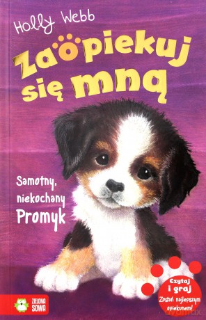 Samotny niekochany Promyk. Zaopiekuj się mną - Holly Webb [KSIĄŻKA]