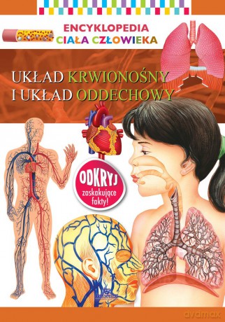Układ krwionośny i układ oddechowy. Encyklopedia ciała człowieka [KSIĄŻKA]