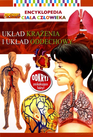 Układ krwionośny i układ oddechowy. Encyklopedia ciała człowieka [KSIĄŻKA]