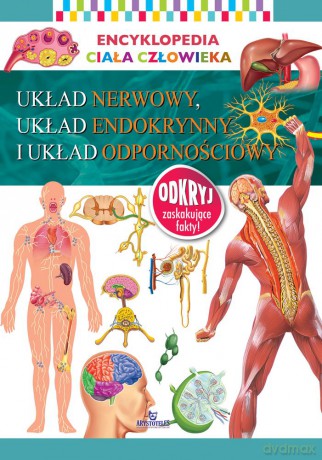 Układ nerwowy, układ endokrynny i układ odpornościowy. Encyklopedia ciała człowieka [KSIĄŻKA]