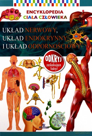 Układ nerwowy, układ endokrynny i układ odpornościowy. Encyklopedia ciała człowieka [KSIĄŻKA]