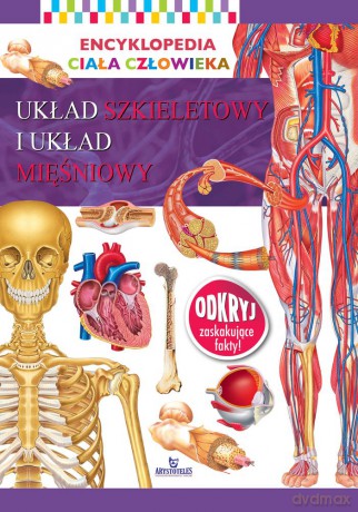 Układ szkieletowy i układ mięśniowy. Encyklopedia ciała człowieka [KSIĄŻKA]