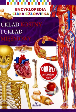 Układ szkieletowy i układ mięśniowy. Encyklopedia ciała człowieka [KSIĄŻKA]