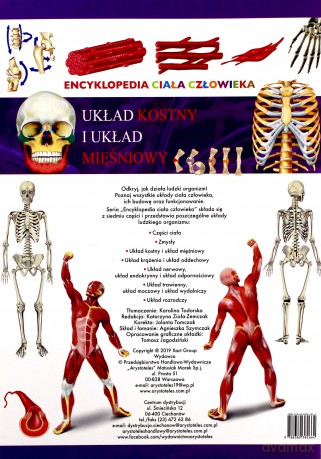 Układ szkieletowy i układ mięśniowy. Encyklopedia ciała człowieka [KSIĄŻKA]