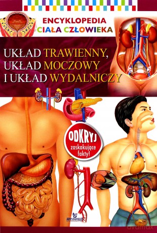 Układ trawienny, układ moczowy i układ wydalniczy. Encyklopedia ciała człowieka [KSIĄŻKA]