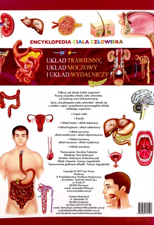 Układ trawienny, układ moczowy i układ wydalniczy. Encyklopedia ciała człowieka [KSIĄŻKA]