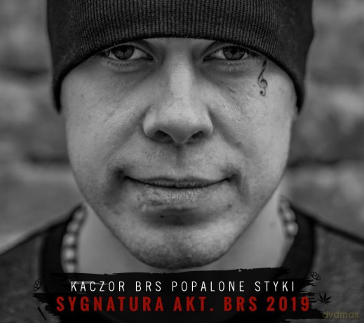 Kaczor Brs: Sygnatura Akt [CD]