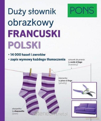 Duży słownik obrazkowy francusko-polski [KSIĄŻKA]