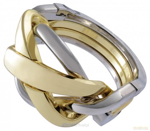 Łamigłówka Cast Ring - poziom 4/6 [GRA]