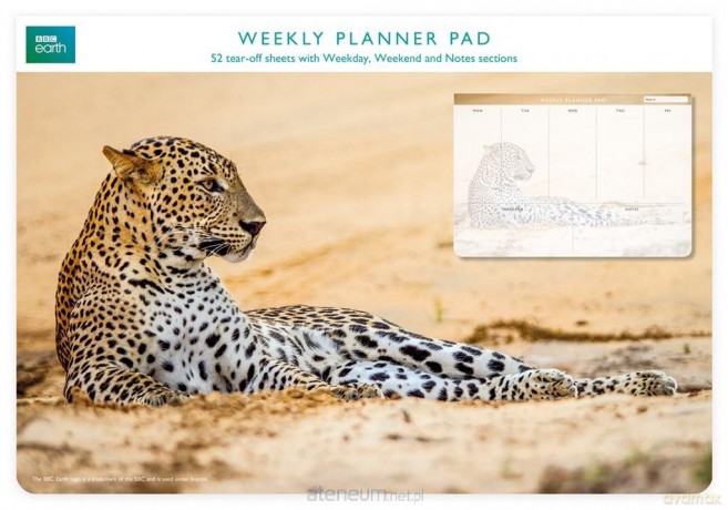 Planer tygodniowy Leopard in sand [KALENDARZ]