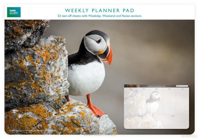 Planer tygodniowy Puffin [KALENDARZ]