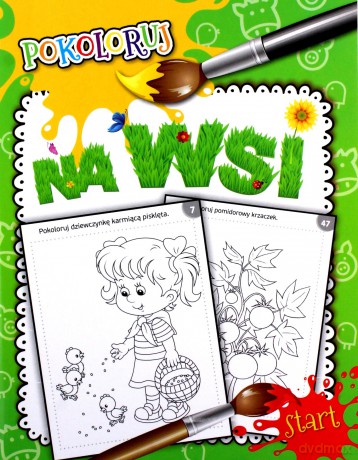 Pokoloruj. Na wsi [KSIĄŻKA]