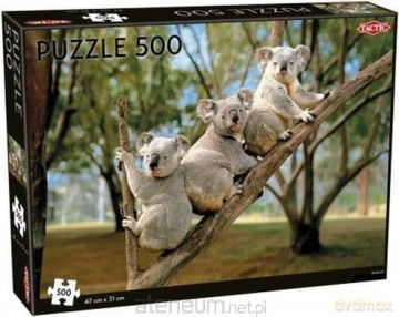 Puzzle Koalas 500 el. [PUZZLE]