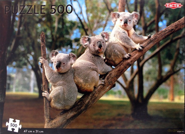 Puzzle Koalas 500 el. [PUZZLE]