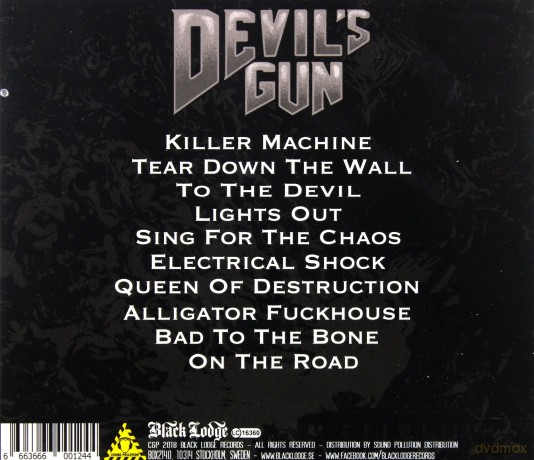 Devil's Gun: Sing For The Chaos [CD]