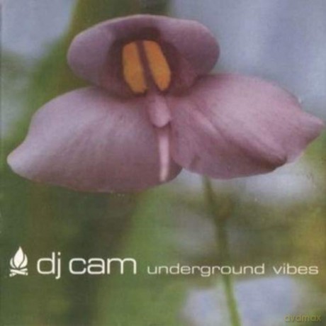 Dj Cam: Underground Vibes [Winyl]