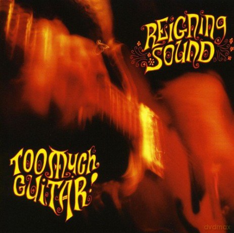 Reigning Sound: Too Much Guitar [Winyl]