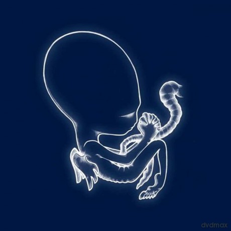 Sigur Ros: Agaetis Byrjun - A Good Beginning (20th Anniversary Edition) [2xWinyl]